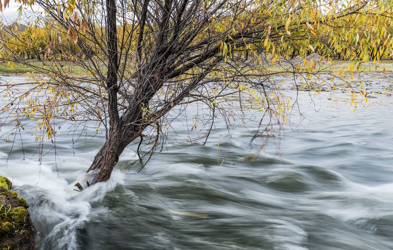 [Translate to English:] Flusslauf mit sichtbarer Str&ouml;mungsgeschwindigkeit. UFZ, Andr&eacute; K&uuml;nzelmann.